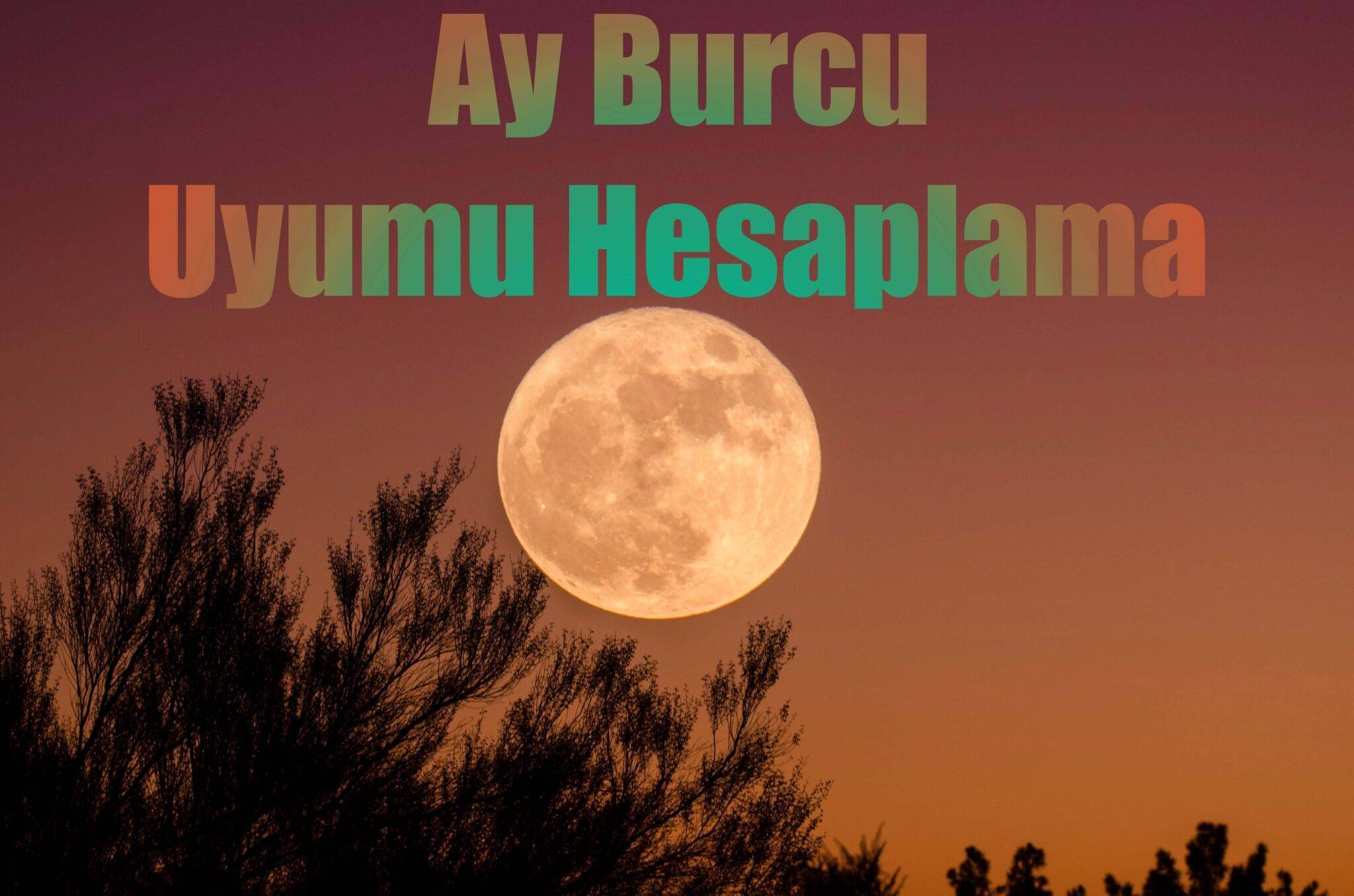 Ay Burcu Uyumu Hesaplama